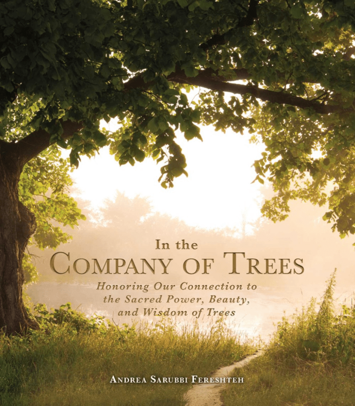 Adams Media Books > Smarts > Science In the Company of Trees: Honoring Our Connection to the Sacred Power, Beauty, and Wisdom of Trees - Hardcover 9781507209547 MC-14798