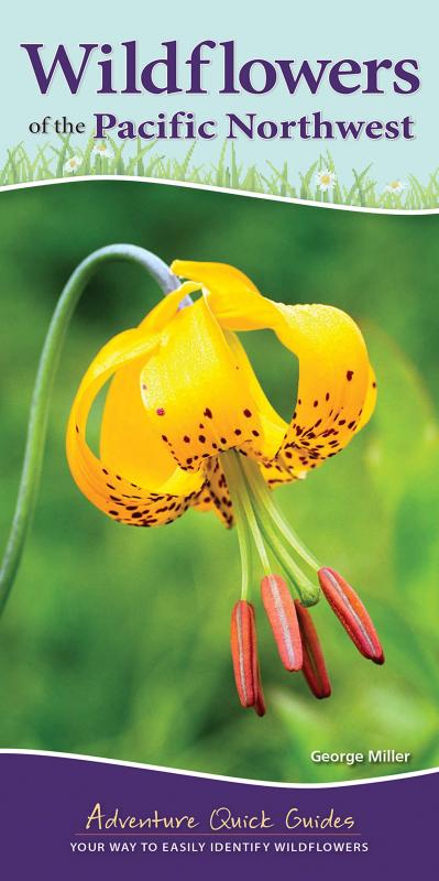 Adventure Publications Books > Smarts > Science Wildflowers of the Pacific Northwest: Your Way to Easily Identify Wildflowers - Book 9781591938279 MC-28394