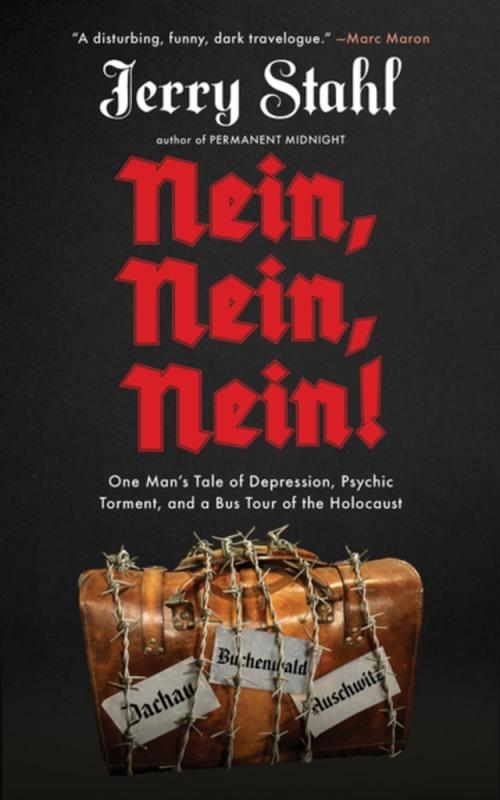 Akashic Books Books > Smarts > History Nein, Nein, Nein!: One Man's Tale of Depression, Psychic Torment, and a Bus Tour of the Holocaust - Hardcover 9781636140254 MC-49840