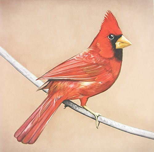 Alexisonfire Music > Vinyl Records Alexisonfire - Old Crows, Young Cardinals 821826002371 DNAL600237.1