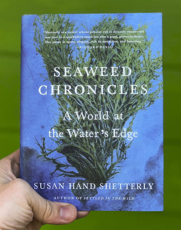 Algonquin Books Books > Smarts > Science Seaweed Chronicles: A World at the Water's Edge - Book 9781616205744 MC-23252