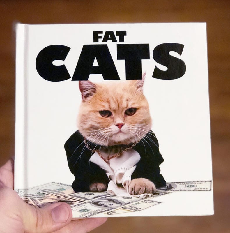 Amber Books Books > Art & Gifts > Pets Fat Cats - Book 9781782744290 MC-22911