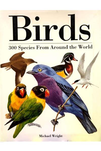 Amber Books Books > Smarts > Science Birds: 300 Species From Around the World - Book 9781782746911 MC-30877