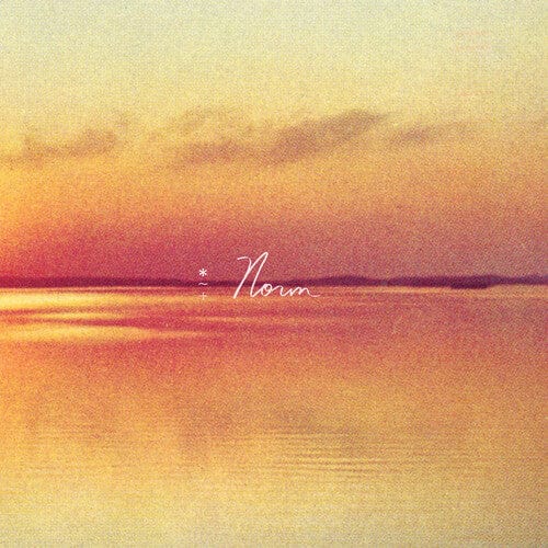 Andy Shauf Music > Vinyl Records Shauf, Andy - Norm (IEX) Eco Mix 045778781638 ATI87816ECO.1