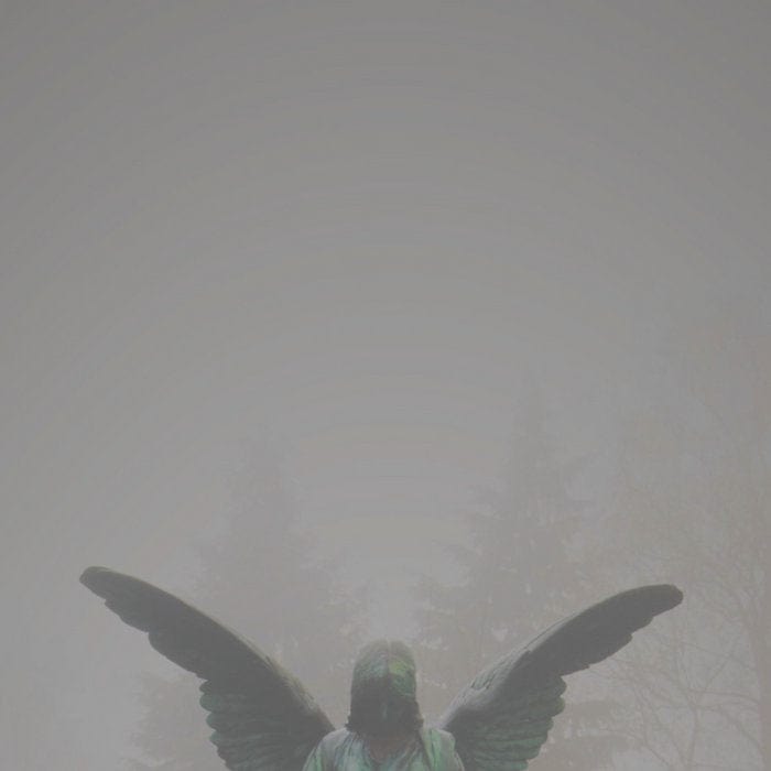 Jesu Music > Vinyl Records Jesu - Pity / Piety 9508777643563 AVCE65.1