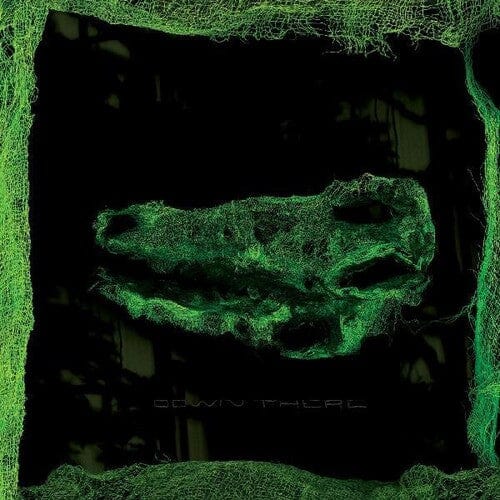 Avey Tare Music > Vinyl Records Avey Tare - Down There 194606001216 DOMI12.1