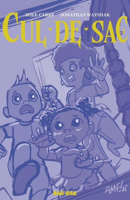 BAD IDEA Comic Books CUL DE SAC #1 (OF 4) CVR B TONY FLEECS CURSED MIRROR VAR 85001727730400121 0625BD466