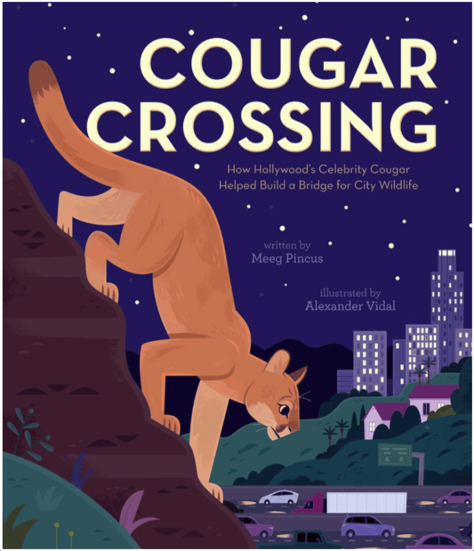 Beach Lane Books Books > Smarts > Science Cougar Crossing: How Hollywood's Celebrity Cougar Helped Build a Bridge for City Wildlife - Hardcover 9781534461857 MC-30227