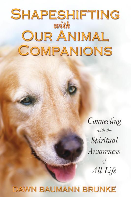 Bear & Company Books > Smarts > Science Shapeshifting with Our Animal Companions: Connecting with the Spiritual Awareness of All Life - Paperback 9781591430834 MC-18526