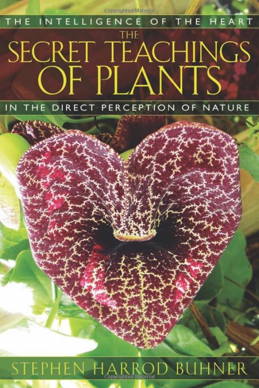 Bear & Company Books > Smarts > Science The Secret Teachings of Plants: The Intelligence of the Heart in the Direct Perception of Nature - Paperback 9781591430353 MC-49735