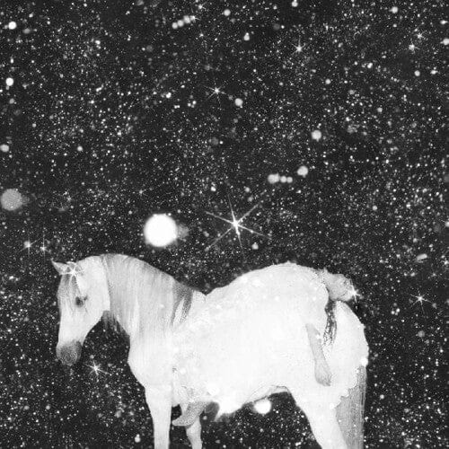 Black Lips Music > Vinyl Records Black Lips - Apocalypse Love 809236166616 FIRR666A.1