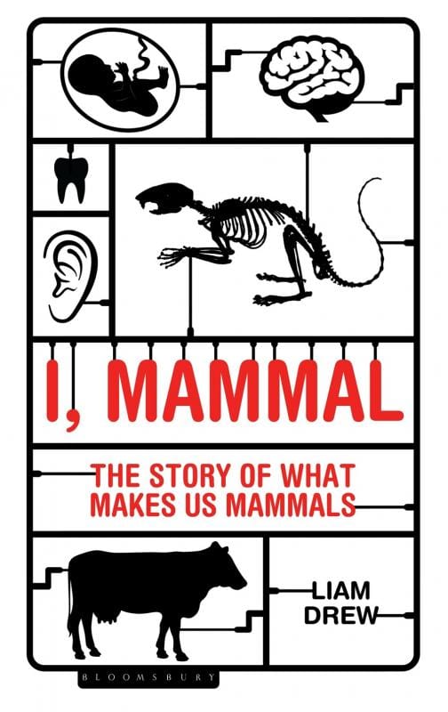 Bloomsbury Sigma Books > Smarts > Science I, Mammal: The Story of What Makes Us Mammals - Paperback 9781472922915 MC-31328