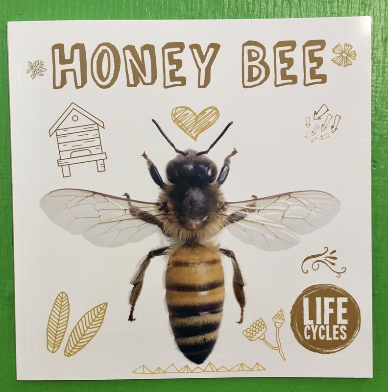 BookLife Publishing Books > Smarts > Science Honey Bee: Life Cycles - Book 9781786376480 MC-25833