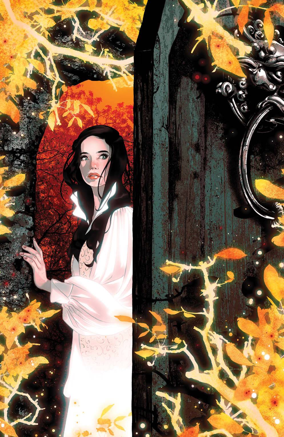 Boom! Studios Comic Books > Incentives JIM HENSONS LABYRINTH #4 (OF 8) CVR D 1:25 INCV MONTES 84428401133404041 OCT240105