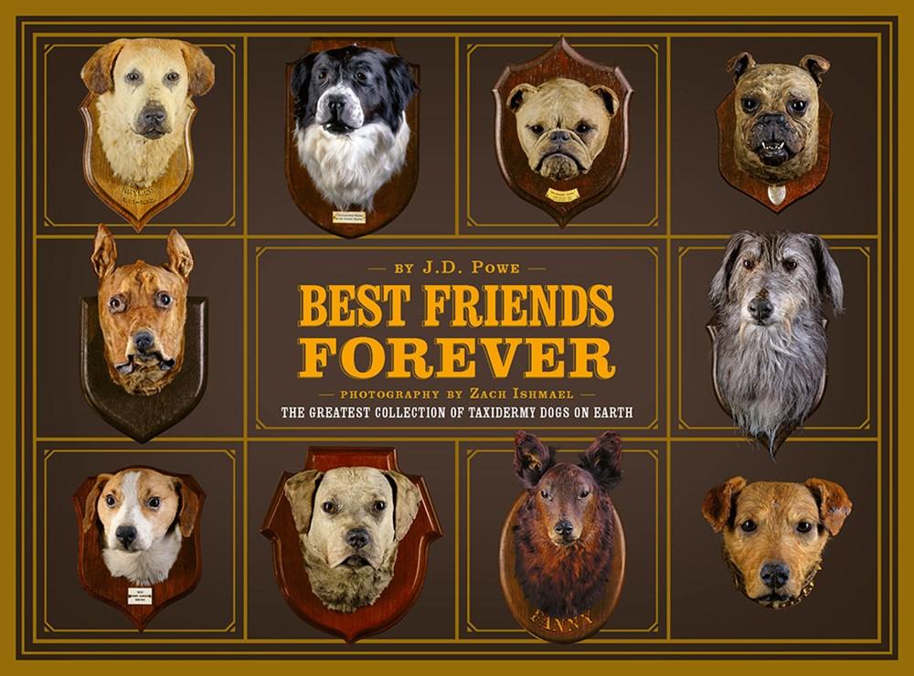 Cernunnos Books > Art & Gifts > Pets Best Friends Forever: The Greatest Collection of Taxidermy Dogs on Earth - Hardcover 9782374950822 MC-26285
