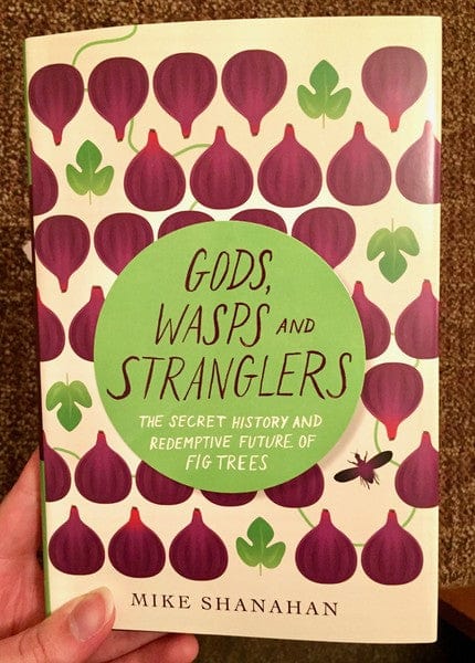 Chelsea Green Publishing Books > Food, Drink, & Drugs > Food Gods, Wasps and Stranglers: The Secret History and Redemptive Future of Fig Trees - Book 9781603587143 MC-21657