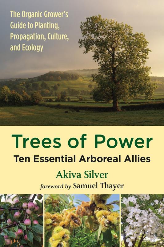 Chelsea Green Publishing Books > Smarts > Science Trees of Power: Ten Essential Arboreal Allies - Paperback 9781603588416 MC-46789