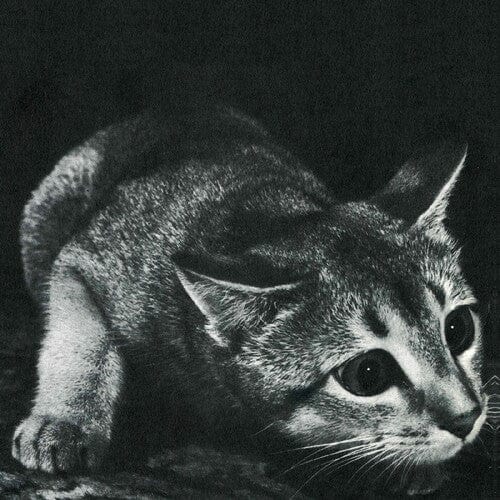 Cindy Music > Vinyl Records Cindy - Cindy 5055869549677 THLV140.1