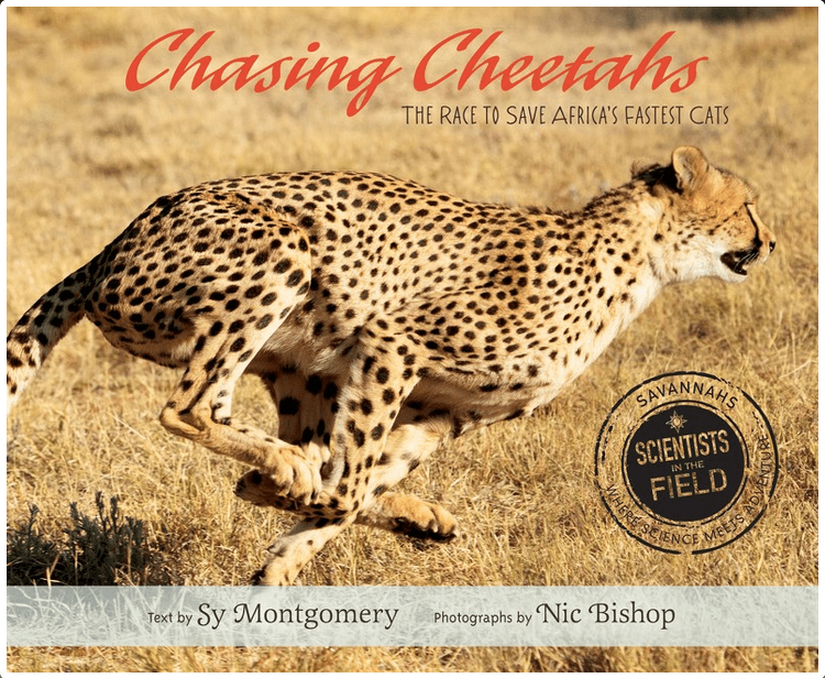 Clarion Books Books > Smarts > Science Chasing Cheetahs: The Race to Save Africa's Fastest Cat - Hardcover 9780547815497 MC-19812
