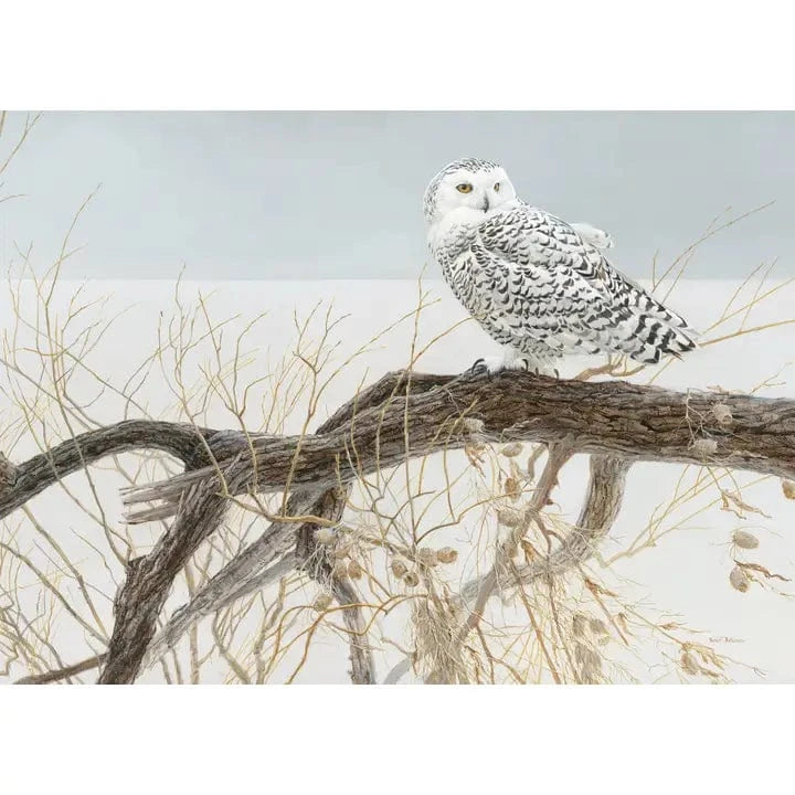 Cobble Hill Puzzles > Jigsaw Puzzles Fallen Willow - Snowy Owl (500 Piece Puzzle) 625012450508 45050