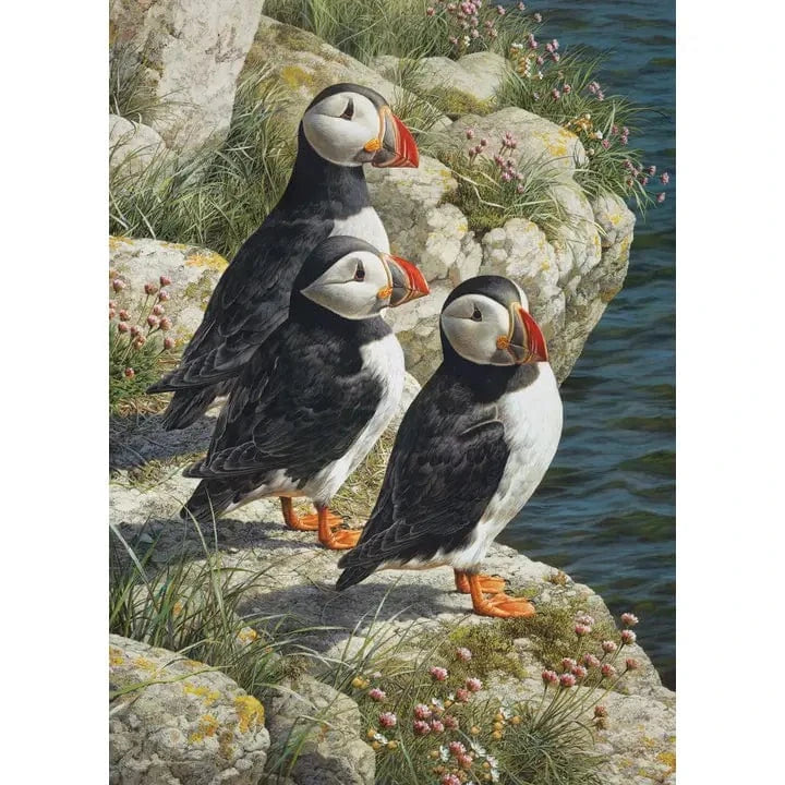 Cobble Hill Puzzles > Jigsaw Puzzles Fisherman's Wharf (500 Piece Puzzle) 625012450522 45052