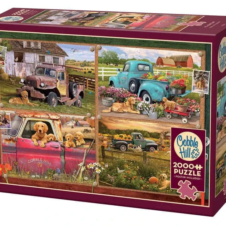 Cobble Hill Puzzles > Jigsaw Puzzles It's a Dog's Life (2000 Piece Puzzle) 625012490184 49018
