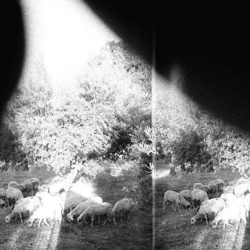 Bwscd, INC. Music > Vinyl Records Godspeed You! Black Emperor - Asunder, Sweet and Other Distress 666561011116 CNST10111.1