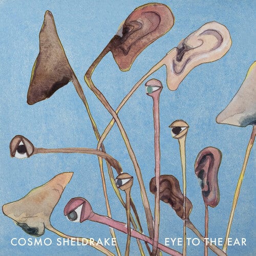 Cosmo Sheldrake Music > Vinyl Records Cosmo Sheldrake - Eye to the Ear 8785260881560 TGRX030.1