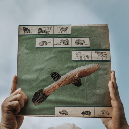 Cotton Jones Music > Vinyl Records Cotton Jones - The River Strumming (180 Gram Vinyl) 803238022314 SSQ223.1