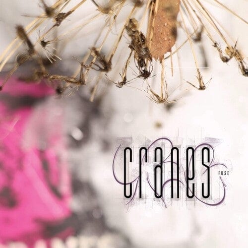 Cranes Music > Vinyl Records Cranes - Fuse 5051142067784 DADP6.1