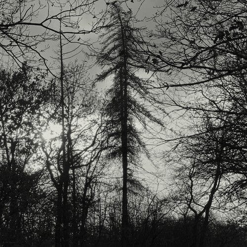 Curse All Kings Music > Vinyl Records Curse All Kings - Feral Earth 3770033798003 CYLW251.1