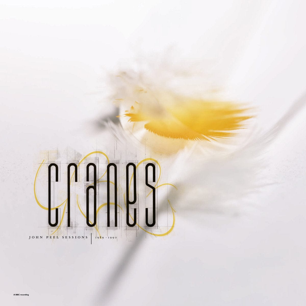 Cranes Music > Vinyl Records Cranes - John Peel Sessions (1989-1990) 5051142011558 DADP5.1