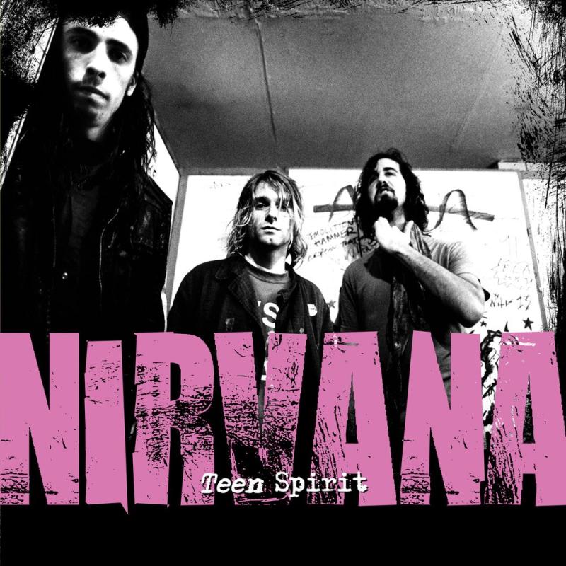 Danann Books Books > Food, Drink, & Drugs > Cookbooks Teen Spirit: The Story of Nirvana - Hardcover 9781912332380 MC-51383