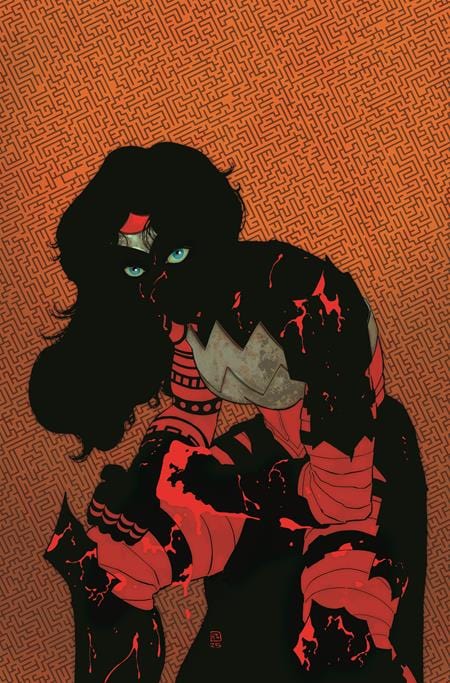 DC Comics Comic Books ABSOLUTE WONDER WOMAN #11 CVR A HAYDEN SHERMAN 76194138586001111 0625DC027