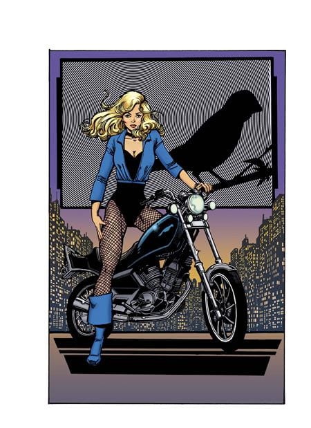 DC Comics Comic Books BIRDS OF PREY #22 CVR D GEORGE PEREZ LEGACY CARD STOCK VAR 76194138012402261 0425DC205