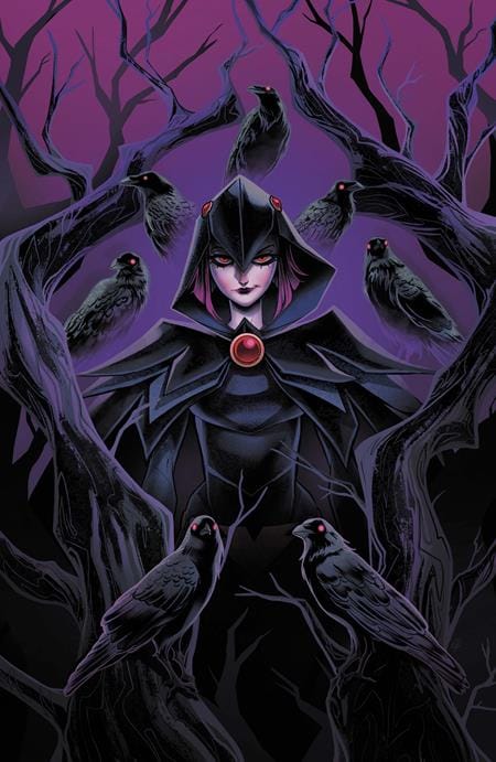 DC Comics Comic Books DCS QUOTH THE RAVEN WHATEVER #1 (ONE SHOT) CVR A SWEENEY BOO (Release Date: 09/30/2026) 76194139622400111 0726DC0180