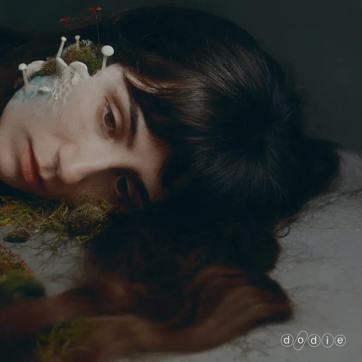Decca Music > Vinyl Records Dodie - Not For Lack Of Trying (Indie Exclusive, Limited Edition, Autographed / Star Signed) 602478858086 DCA198563.1