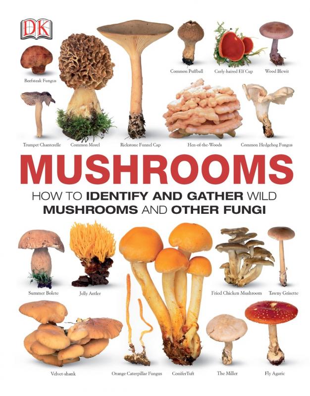 DK Books > Smarts > Science Mushrooms: How to Identify and Gather Wild Mushrooms and Other Fungi - Hardcover 9781465408556 MC-29961