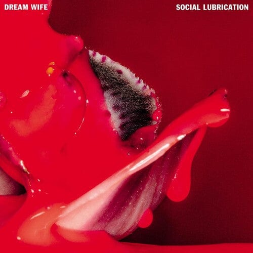Dream Wife Music > Vinyl Records Dream Wife - Social Lubrication 689492217112 LKNR166A.1