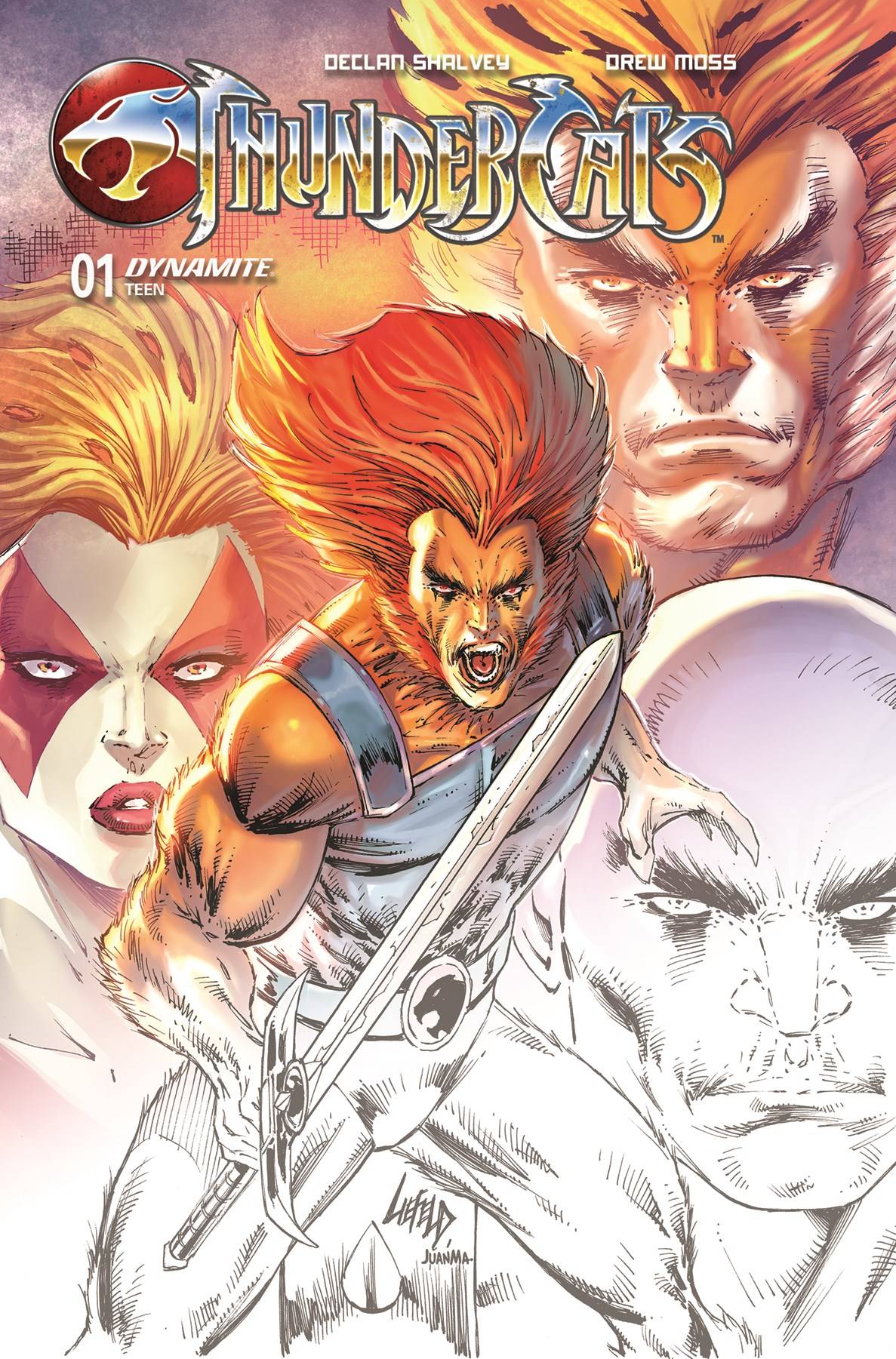DYNAMITE Comic Books THUNDERCATS #1 2ND PTG CVR A LIEFELD 72513034116701012 JAN247379