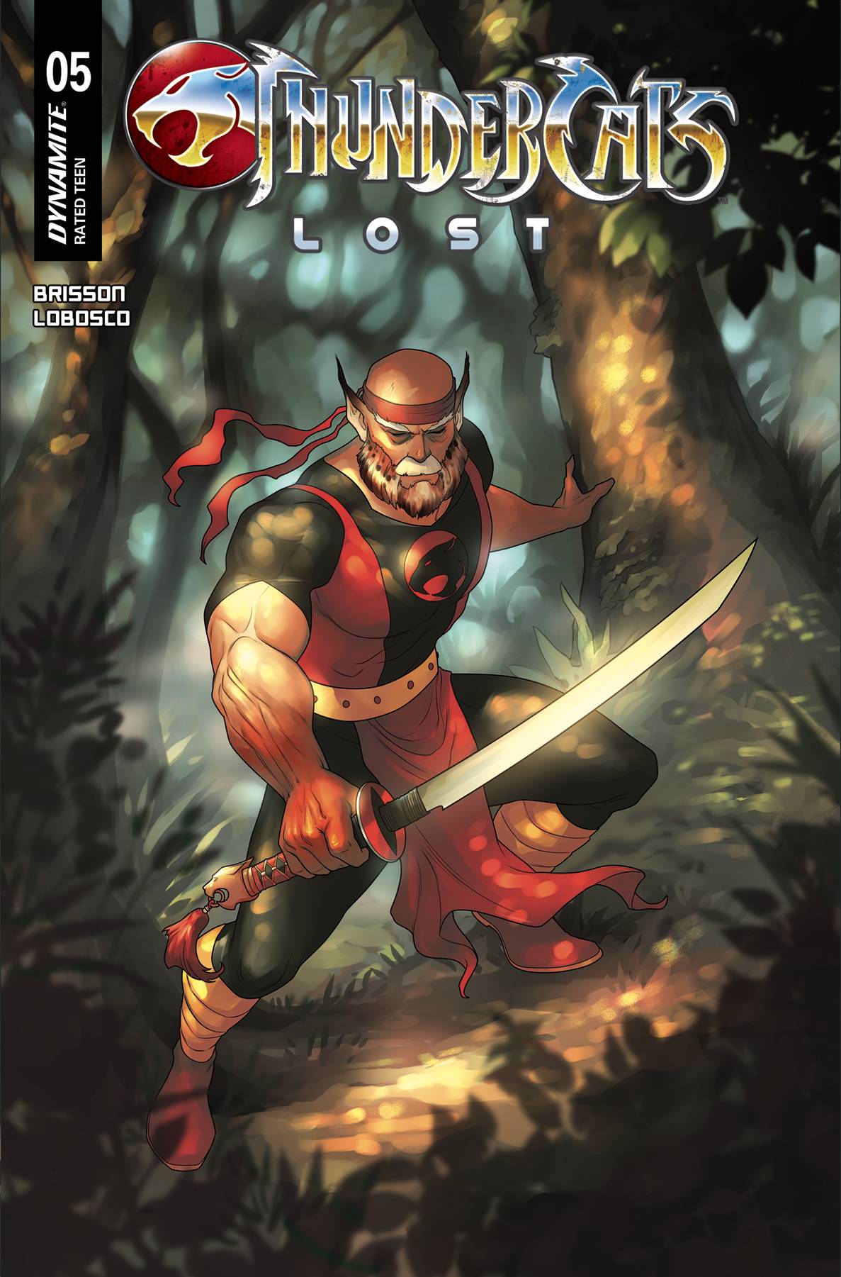 Dynamite Comic Books THUNDERCATS LOST #5 CVR C HETRICK 72513035357305031 MAY250170