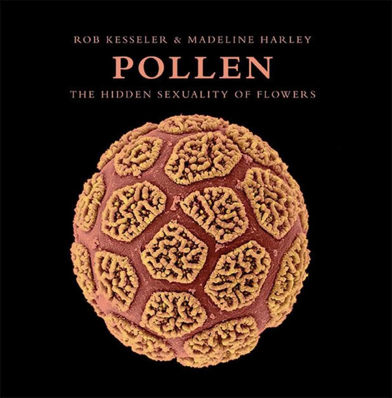 Earth Aware Editions Books > Smarts > Science Pollen: The Hidden Sexuality of Flowers - Hardcover 9781608874385 MC-47375