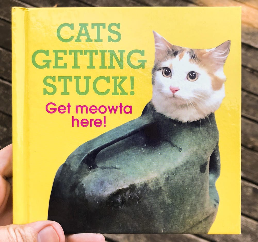 Ebury Press Books > Art & Gifts > Pets Cats Getting Stuck! - Hardcover 9781785036309 MC-23070