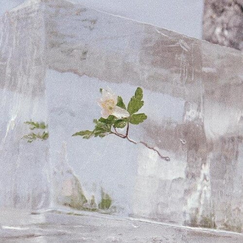 Efterklang Music > Vinyl Records Efterklang - Windflowers - Clear Vinyl 4250506840495 CTSG50366A.1