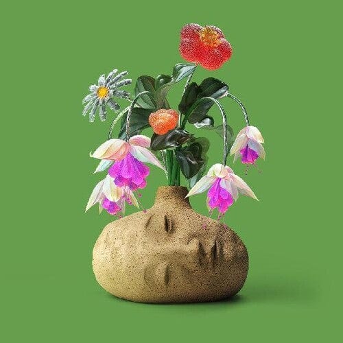 Topshelf Records Music > Vinyl Records Elephant Gym - Dreams (Digital Download Card) 634457098879 TPSF242A.1