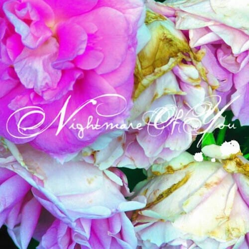 Equal Vision Records Music > Vinyl Records Nightmare Of You - Nightmare Of You 794558055314 EQV5531.1