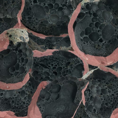 Eric Chenaux Music > Vinyl Records Chenaux, Eric - Say Laura 666561016012 CNST160.1