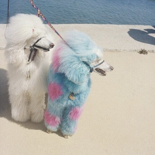 Exek Music > Vinyl Records Exek - Advertise Here 733102721916 CLFC141.1