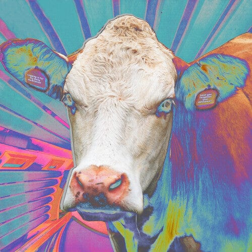 Eyes Of Others Music > Vinyl Records EYES OF OTHERS - Eyes Of Others 5400863086992 HEVL210.1