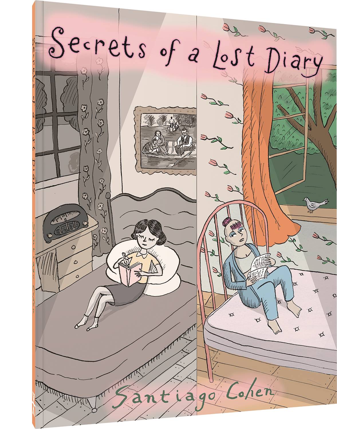 FANTAGRAPHICS BOOKS Graphic Novel FANTAGRAPHICS UNDERGROUND SECRETS OF A LOST DIARY TP 9798875000195 DEC241566